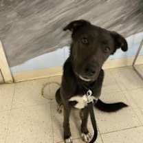 Thumbnail photo of Twix #4