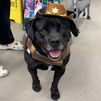 Thumbnail photo of Mr. Beefers #1