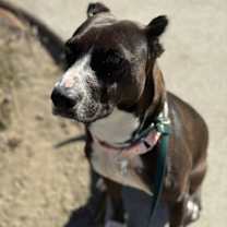 Thumbnail photo of Darian Hw+ #3