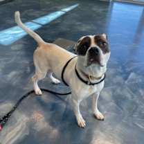 Thumbnail photo of Stewart #4