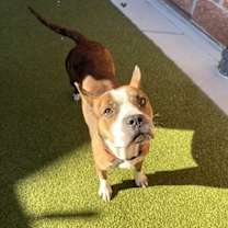 Thumbnail photo of Toma Hw+ #4