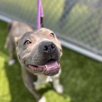 Thumbnail photo of Tansy/hw+ #1