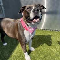 Thumbnail photo of Latte #3