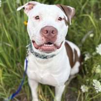 Thumbnail photo of Lucky #1