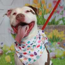 Thumbnail photo of Lucky #3