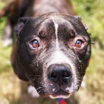 Thumbnail photo of Burt #2