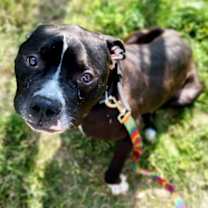 Thumbnail photo of Burt #3