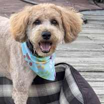 Thumbnail photo of Tucker #1