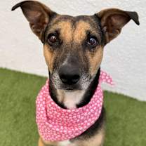 Thumbnail photo of Penny #3