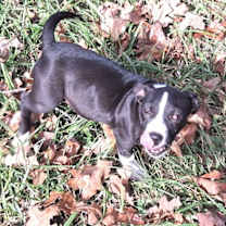 Thumbnail photo of Princess #3