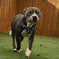 Thumbnail photo of Bubba Gump JuM #4