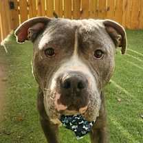 Thumbnail photo of Bubba Gump JuM #3