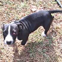 Thumbnail photo of Princess #2