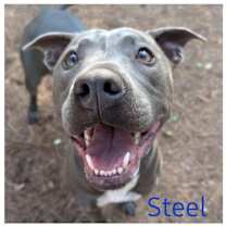 Thumbnail photo of STEEL #2