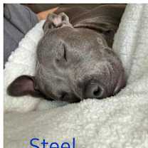 Thumbnail photo of STEEL #4