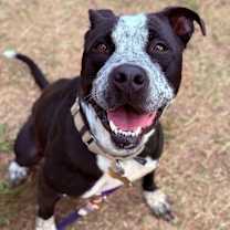 Thumbnail photo of Mandy #2