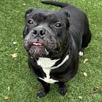 Thumbnail photo of Gorda #1