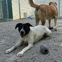 Thumbnail photo of Fairytale #1