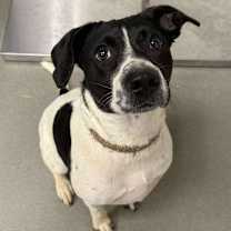 Thumbnail photo of Fairytale #2