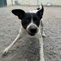 Thumbnail photo of Fairytale #3