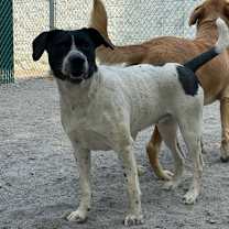 Thumbnail photo of Fairytale #4