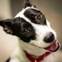 Thumbnail photo of Lettie #4