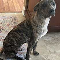 Thumbnail photo of Andre #2