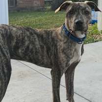 Thumbnail photo of Andre #3