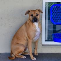 Thumbnail photo of Bear #2