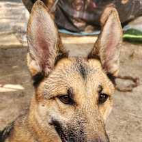 Thumbnail photo of Rome #1