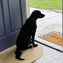 Thumbnail photo of Max #3