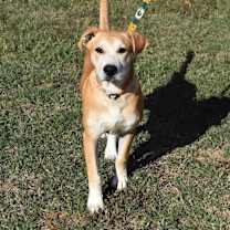 Thumbnail photo of King #2