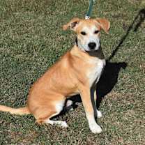 Thumbnail photo of King #4