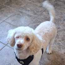 Thumbnail photo of Heidi #1