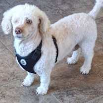 Thumbnail photo of Heidi #2