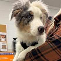 Thumbnail photo of Motley #2