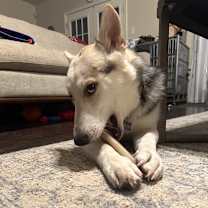 Thumbnail photo of Maddie Rae #1