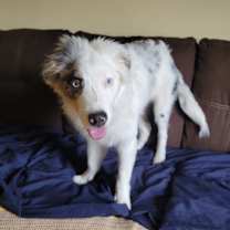 Thumbnail photo of Motley #4