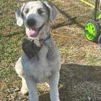 Thumbnail photo of Jack #1