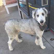 Thumbnail photo of Jack #2