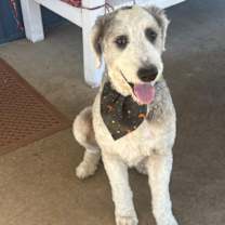 Thumbnail photo of Jack #3