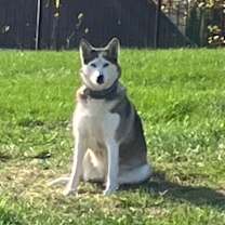 Thumbnail photo of Nahkita #1