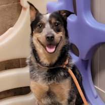 Thumbnail photo of Dorothy #1