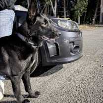 Thumbnail photo of Ariel #3