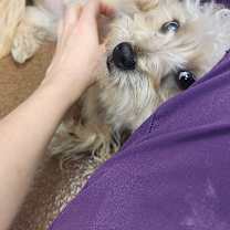 Thumbnail photo of Rubble #3