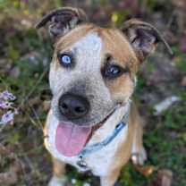 Thumbnail photo of Serena #1