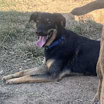 Thumbnail photo of Boone #1