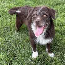 Thumbnail photo of Winnie #1