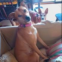 Thumbnail photo of Tilly #2