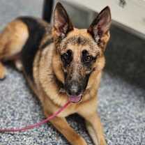 Thumbnail photo of Keeper #1